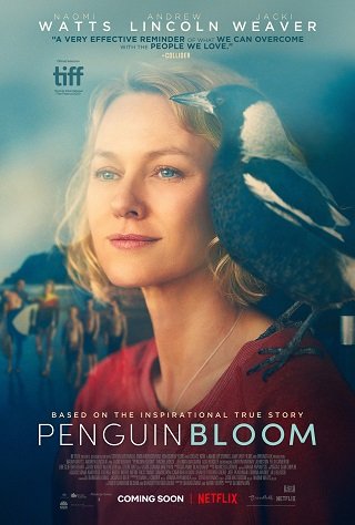 ดูหนังออนไลน์ Penguin Bloom | Netflix (2020) เพนกวิน บลูม