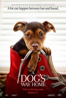 ดูหนังออนไลน์ A Dog’s Way Home เพื่อนรักผจญภัยสี่ร้อยไมล์ (2019)